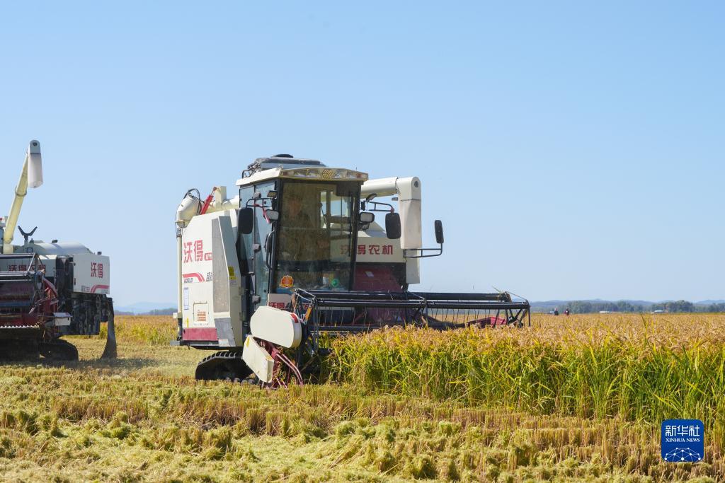 菠菜论坛地址大全